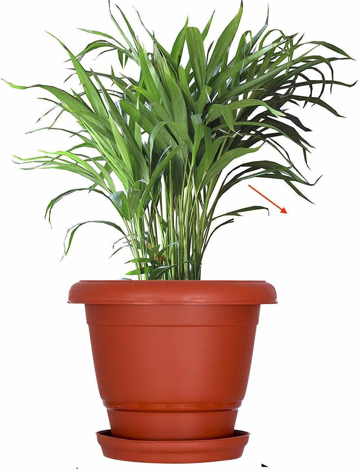 Image of Ramanuj (Pack of 12 With Tray) Heavy Duty Plastic Future Green High Quality 10 inches Gardening Flower Pots Size-10Inch | Round Garden Plastic Planters Plant Container Set Gamla Pot for Garden and Balcony Flowering Brown Plant Container Set For Indoor / Outdoor Round Pots Plant Container Set Plant Container Set