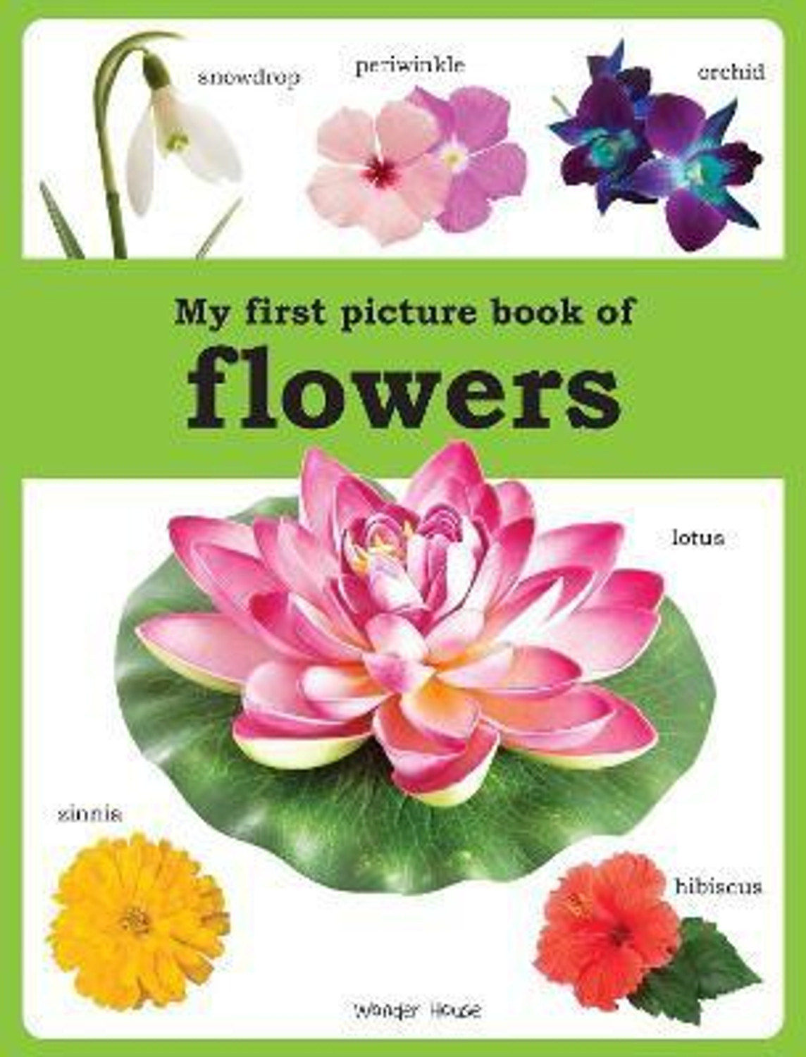 Image of My first picture book of Flowers: Picture Books for Children - By Miss & Chief