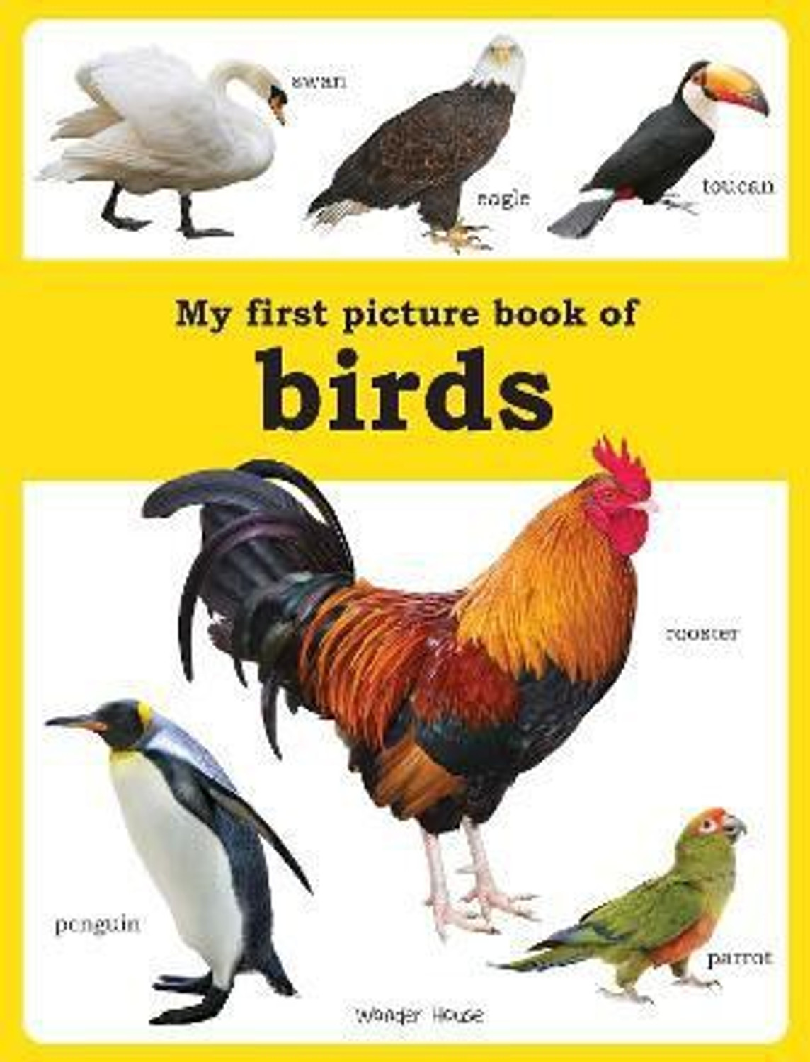 Image of My first picture book of Birds: Picture Books for Children (Picture Books For Kids) - By Miss & Chief