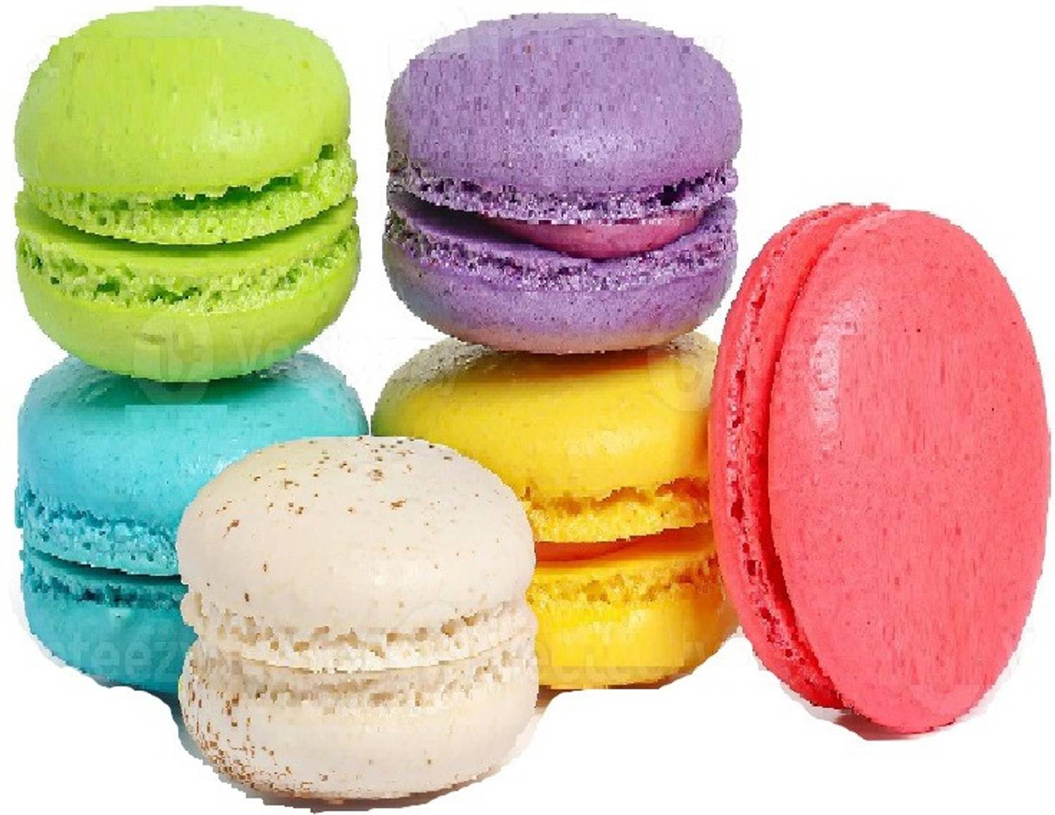 まかろん Marvino Macaron Color, Food Colours Set of 13 Multicolor Price in