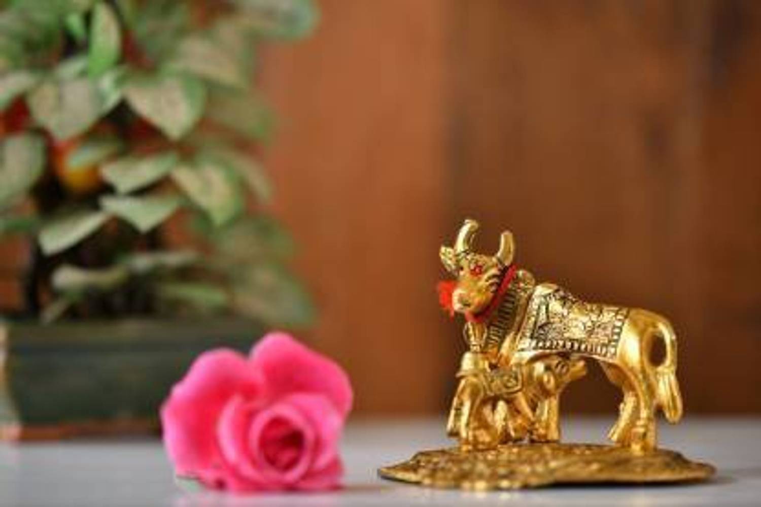AgTrendz Kamdhenu Cow Statue with Calf for Home Decor Gifting and Decorative Golden Metal Showpiece Decorative Showpiece - 12 cm (Aluminium, Gold) Decorative Showpiece - 12 cm
