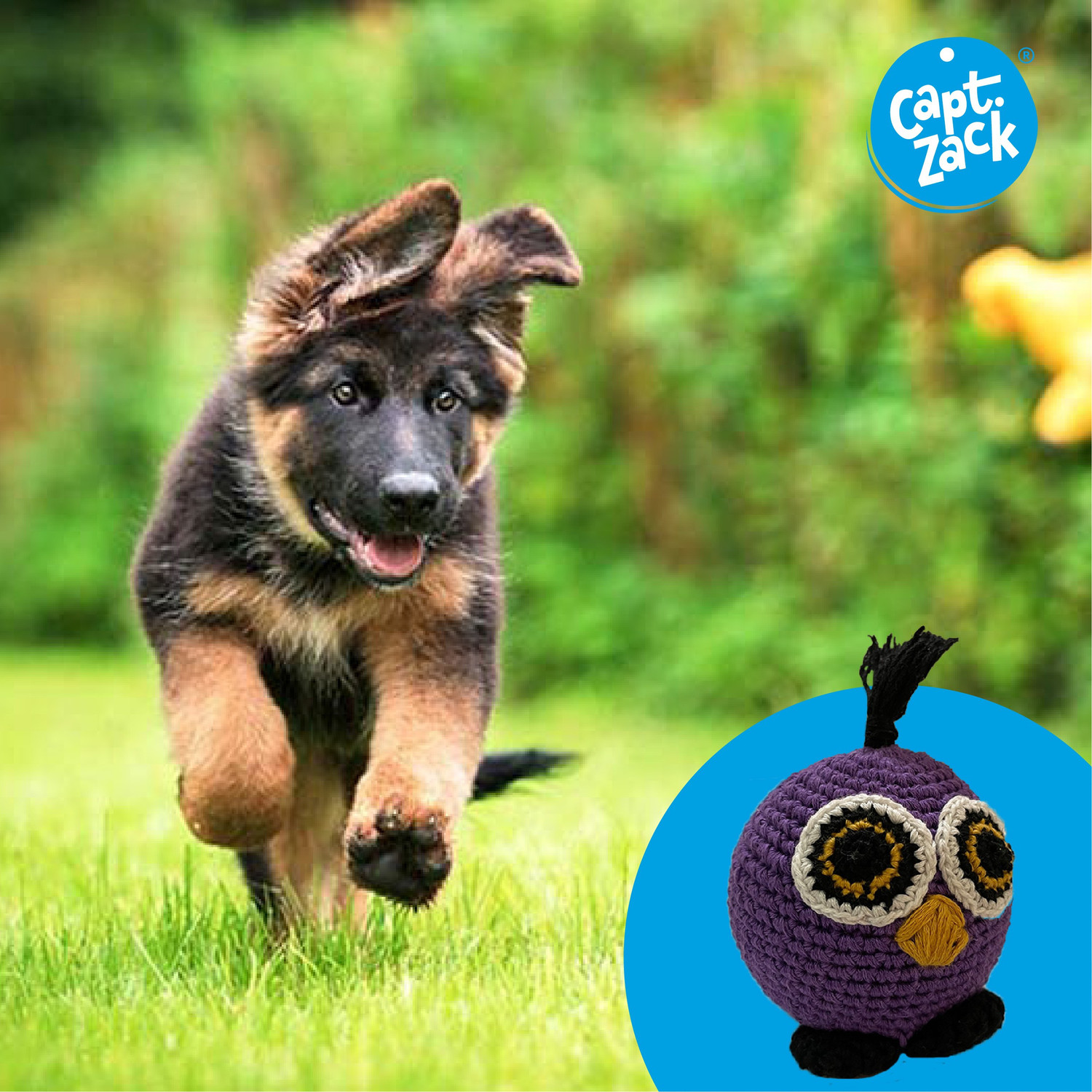 Image of Captain Zack Crochet Owl Cotton Chew Toy For Dog