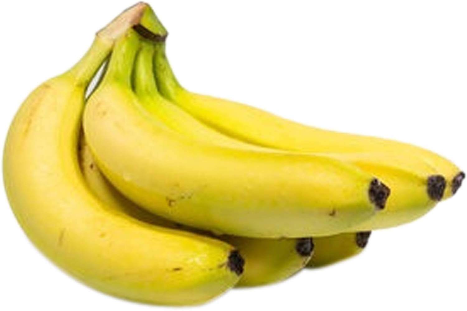 Banana Robusta