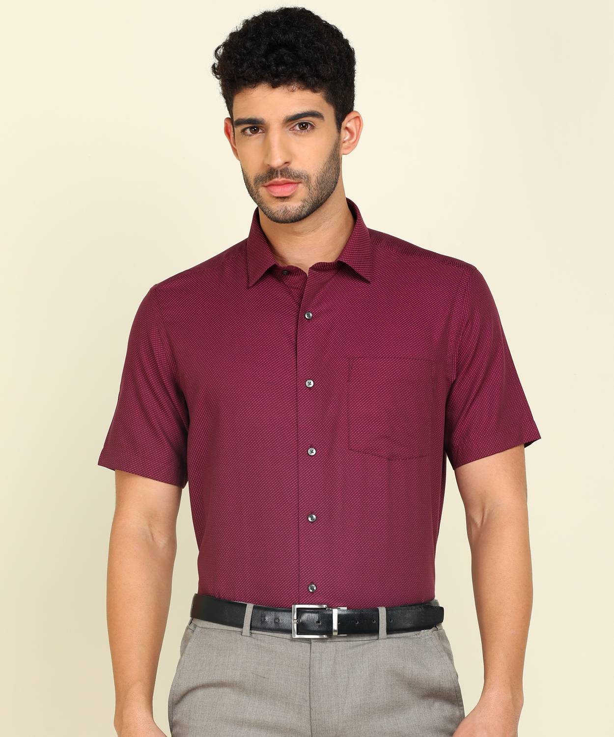 ARROW Men Self Design Formal Purple Shirt