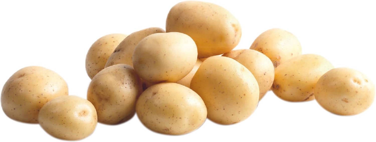 Baby Potato