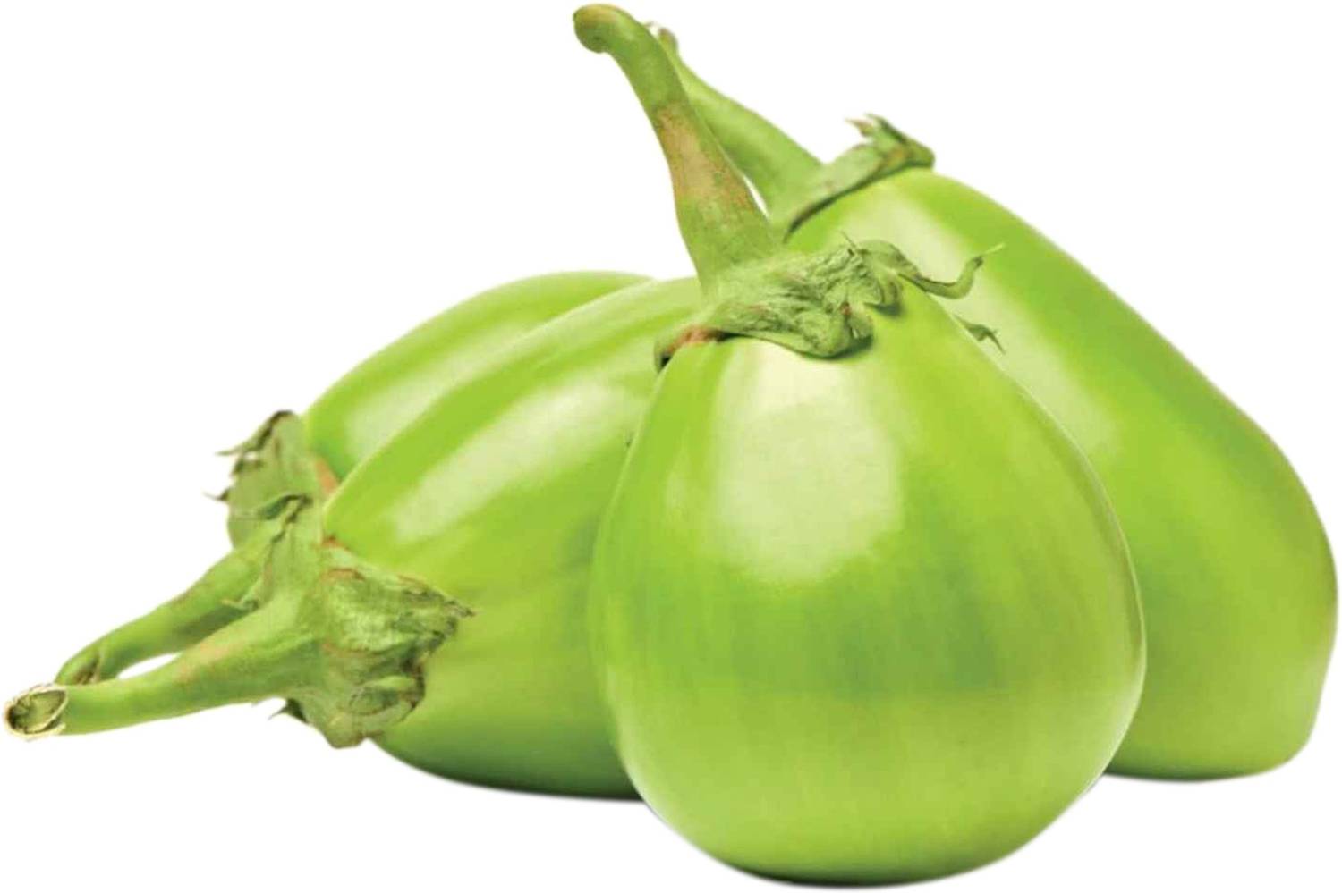 Green Round Brinjal