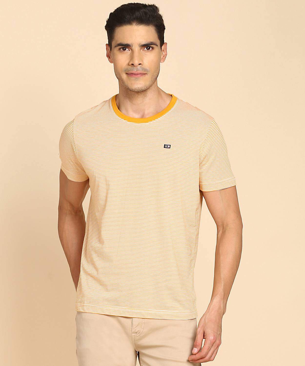 Arrow Sport Striped Men Round Neck Beige T-Shirt