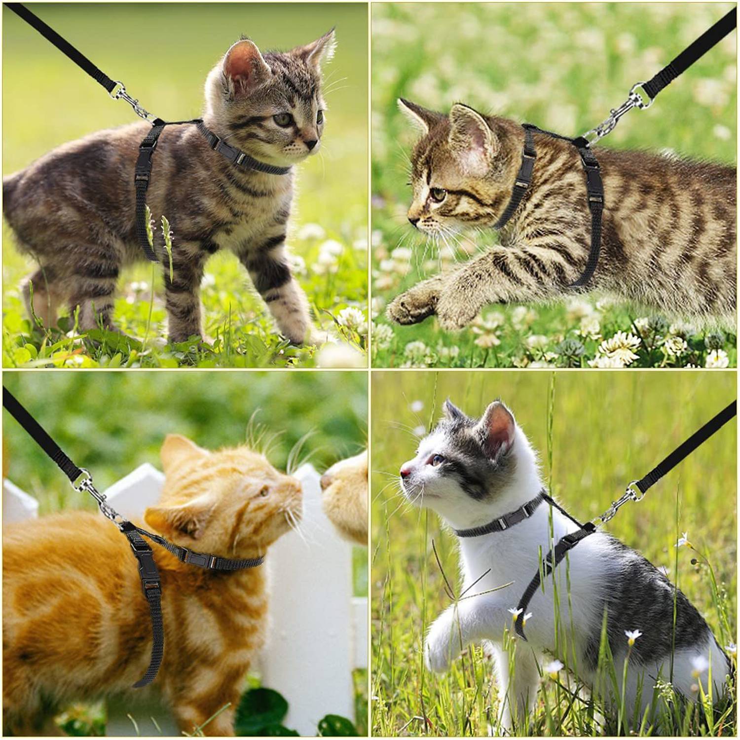 ADIOS Cat and Small Pet Nylon Strap Collar with Adjustable Walking Harness Leash (Black) Cat Harness & Leash
