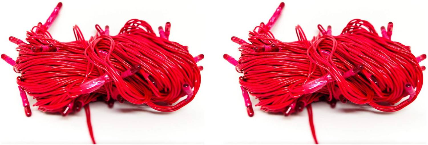 Ascension 21 LEDs 8 m Red Steady String Rice Lights
