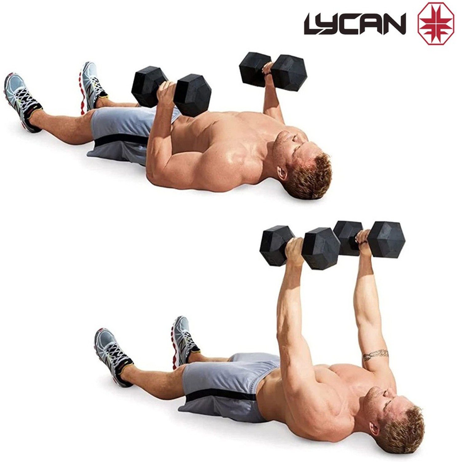 Image of LYCAN 2 Kg ( pair ) Pvc Hex Dumbbells Fixed Weight Dumbbell