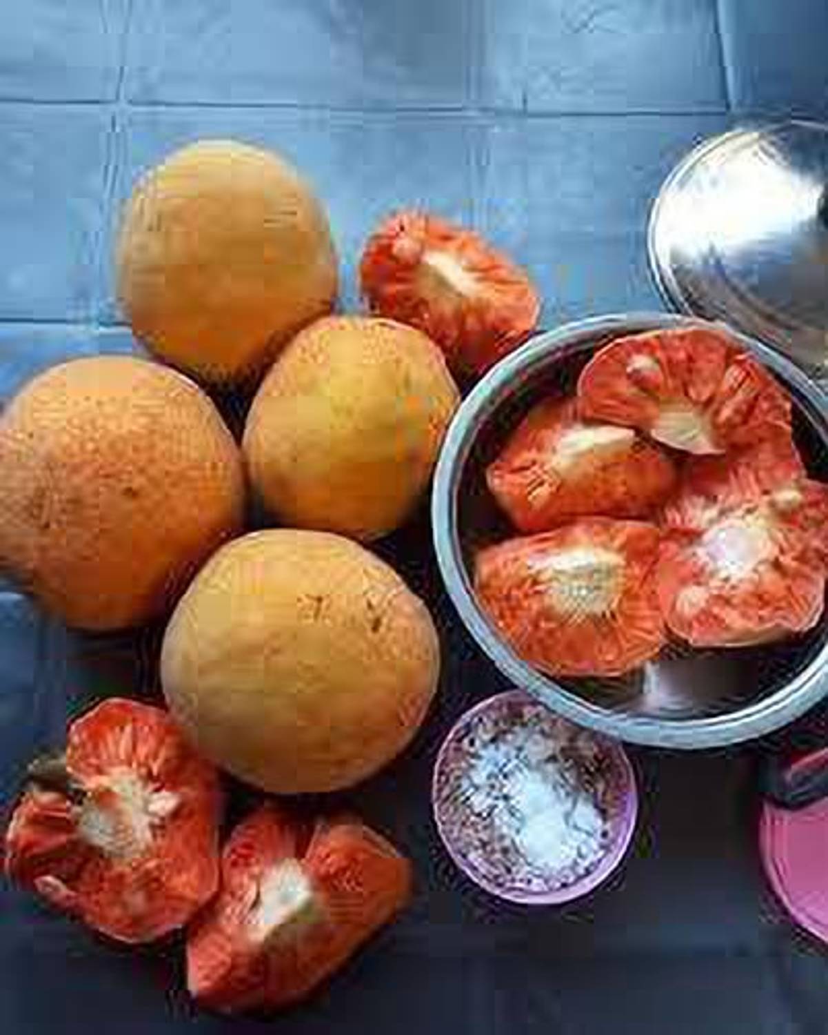 Fruitful ZZ Plant Price in India - Buy Fruitful ZZ Plant online at