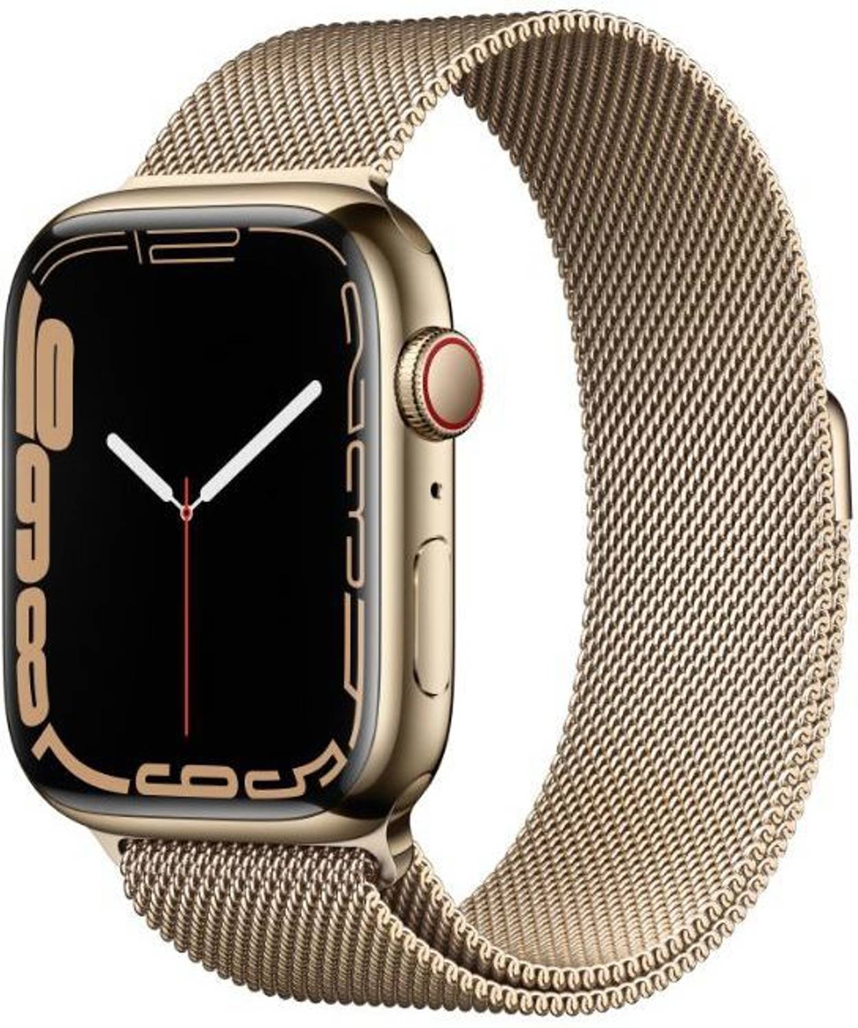 Apple Watch Series7(GPS+Cellular, 45mm) Gold Stainless Steel Case