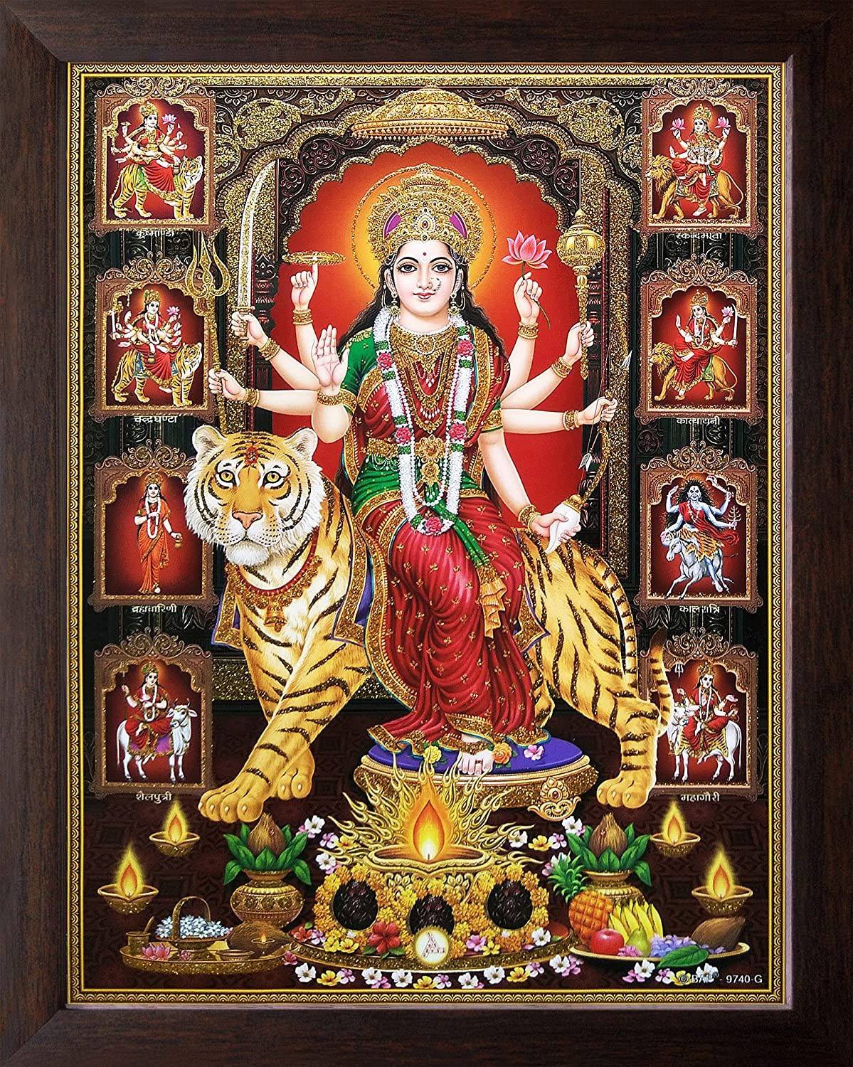 DARVIN DURGA MAA NAV ROOP PHOTO FRAME | DURGA MAA PHOTO FRAME | DURGA MAA PAINTING | DURGA MAA PHOTO FRAME FOR POOJAN | DURGA MAA 9 ROOP PHOTO FRAME FOR NAVRATRI POOJAN Religious Frame
