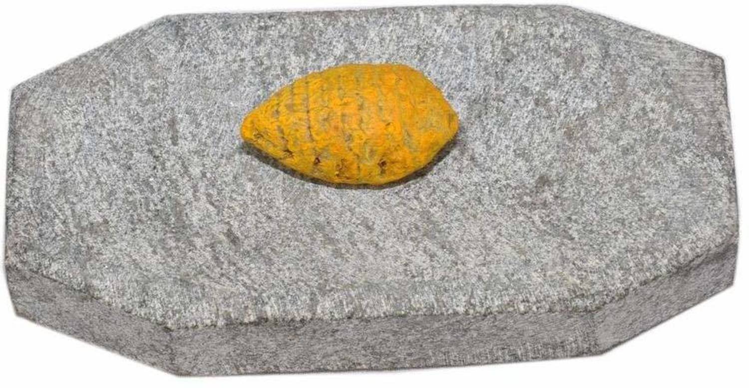 carlowin Turmeric & Sandal Rubbing Stone (pumice stone) Stoneware Masher