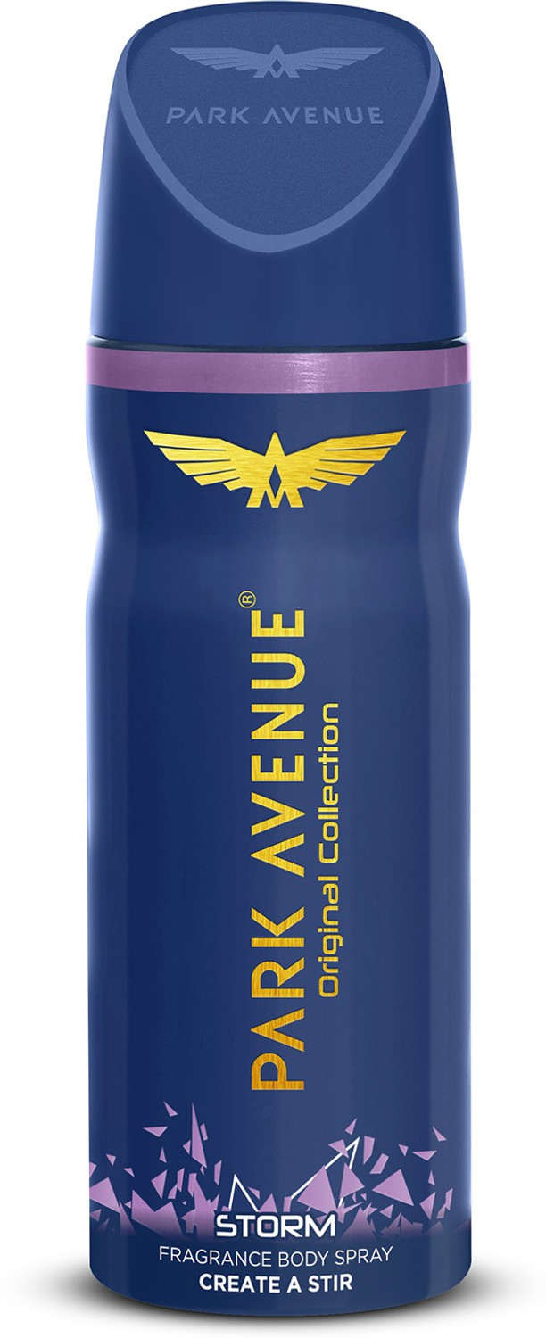 Image of PARK AVENUE Storm Deodorant Spray - For Men