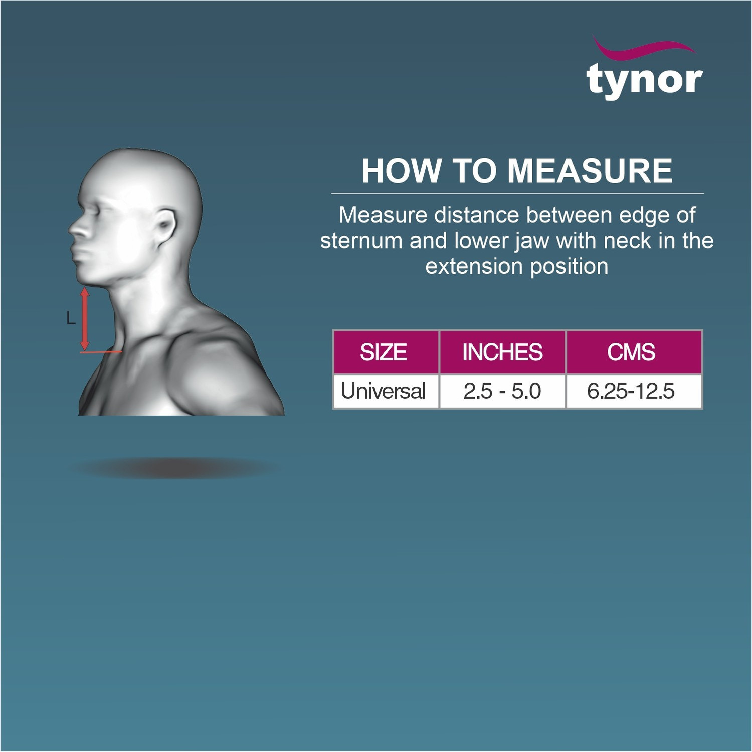 Image of TYNOR Travel Pillow, Grey, Universal Size, 1 Unit Neck Support