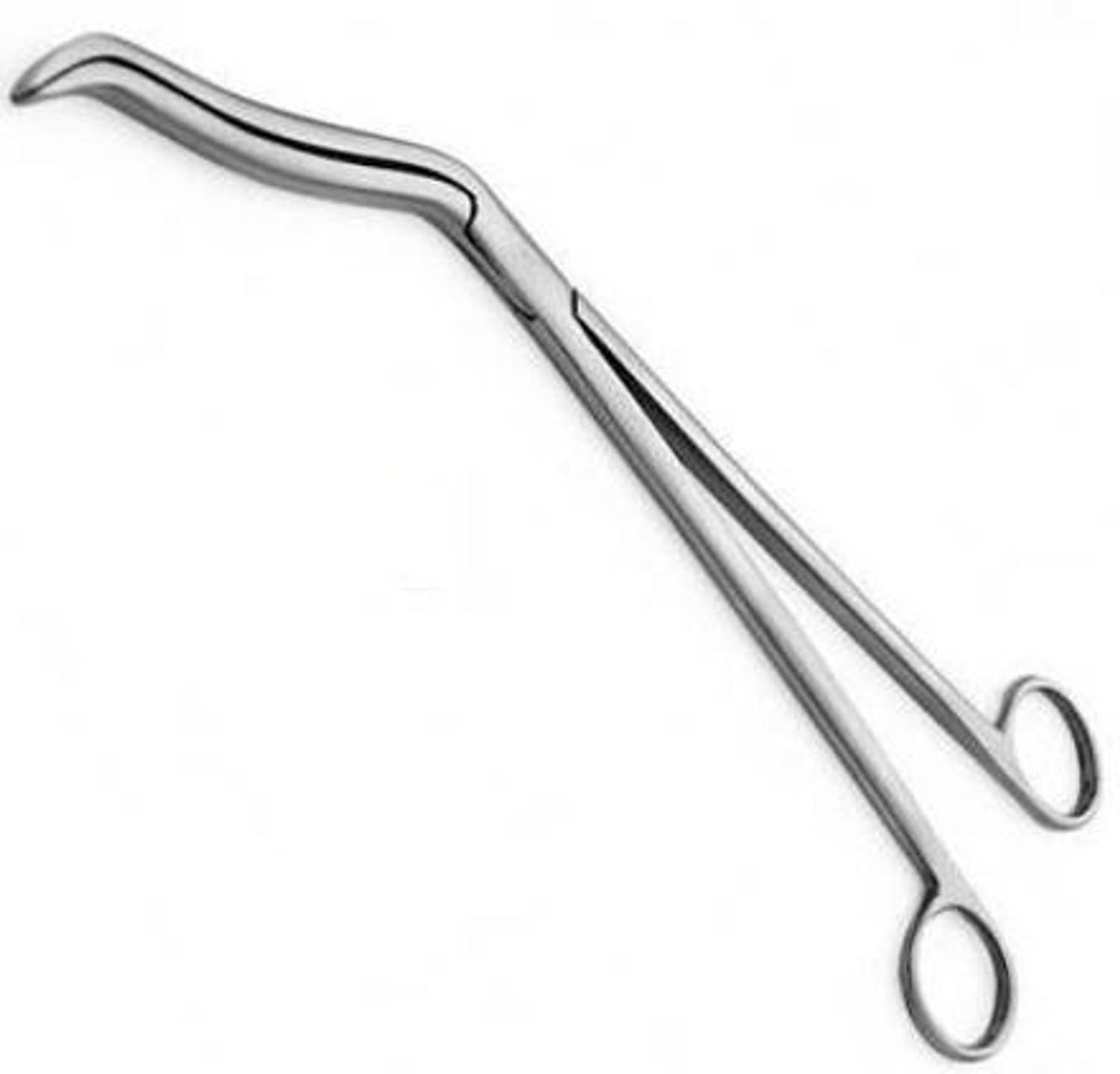 ARINEO Cheatle Forceps 10" Heavy (Pack Of 1) Dressing Forceps