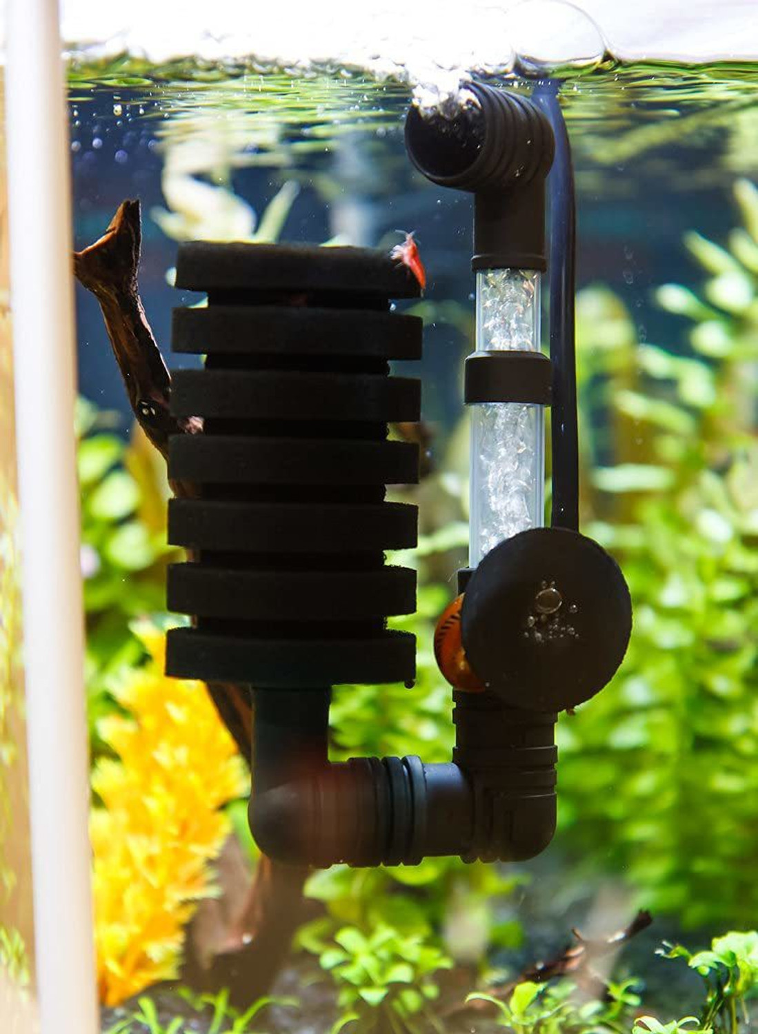 Image of XINYOU (XY-2830) Bio-Sponge Filter | Specific Application for Discus, Angel Fish and Other Small Size Fishes Aquarium Filter Cartridge