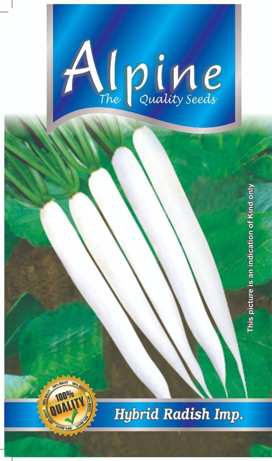 ALPINE HYBRID SEEDS Radish Seed