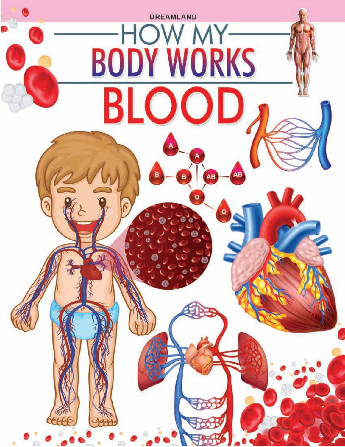 Blood - How My Body Works