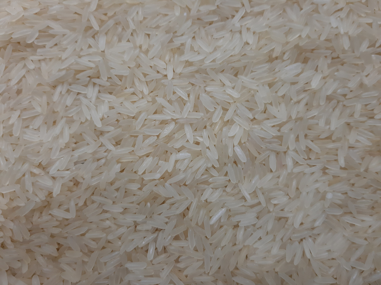 Image of Minikit Rice