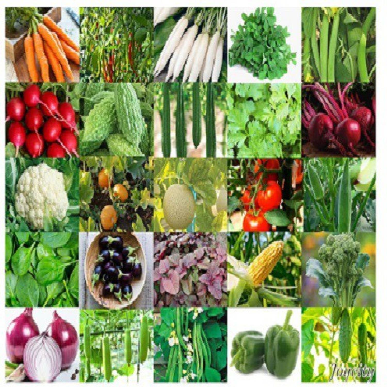 ALPINE HYBRID SEEDS Natural MIX VEGETBLE SEEDS ( pack of 50) Seed