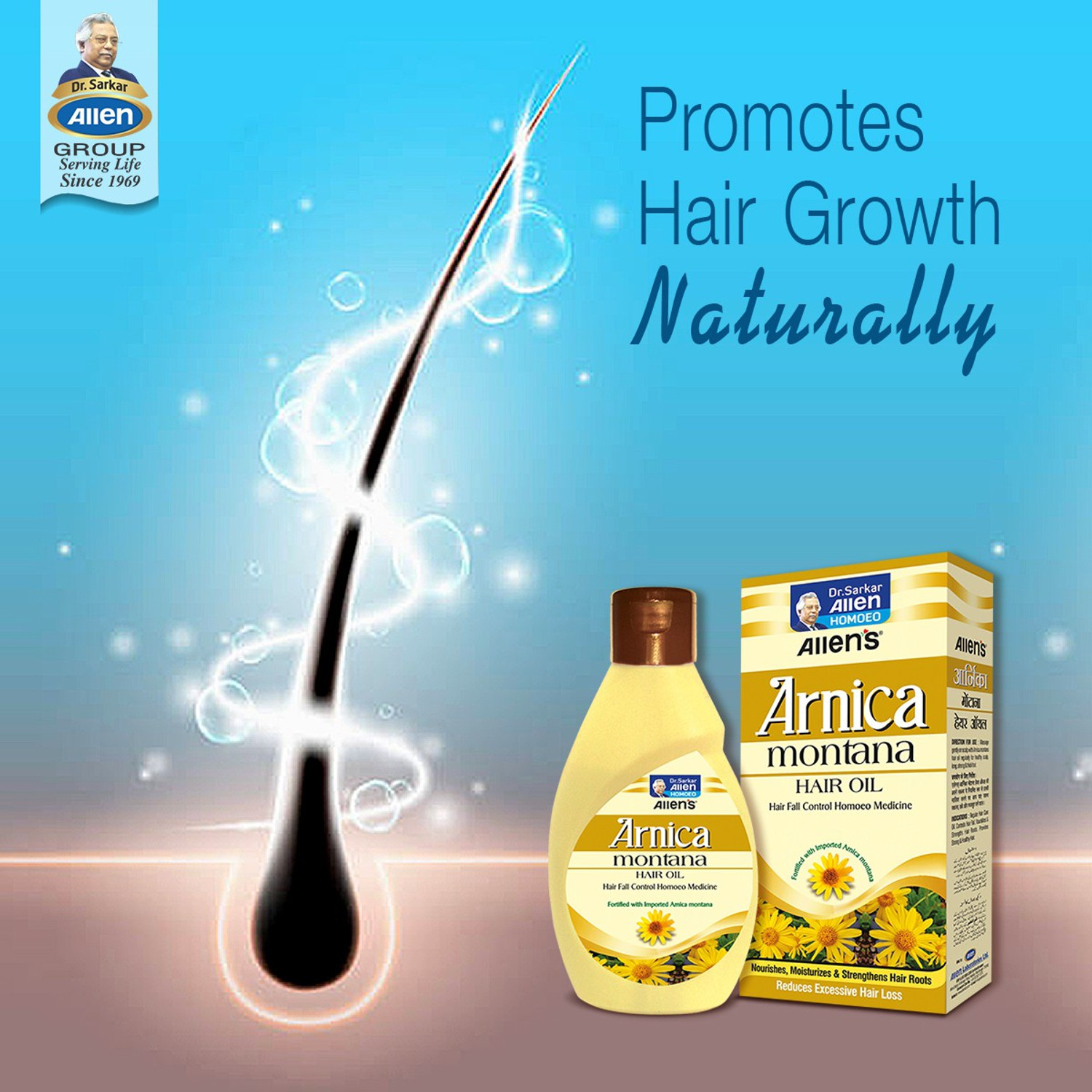 Image of Allen's Arnica Montana Hair Oil (Pack of 2) Hair Oil