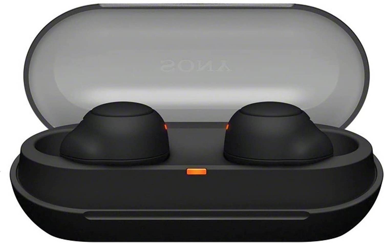 Sony WF-C500
