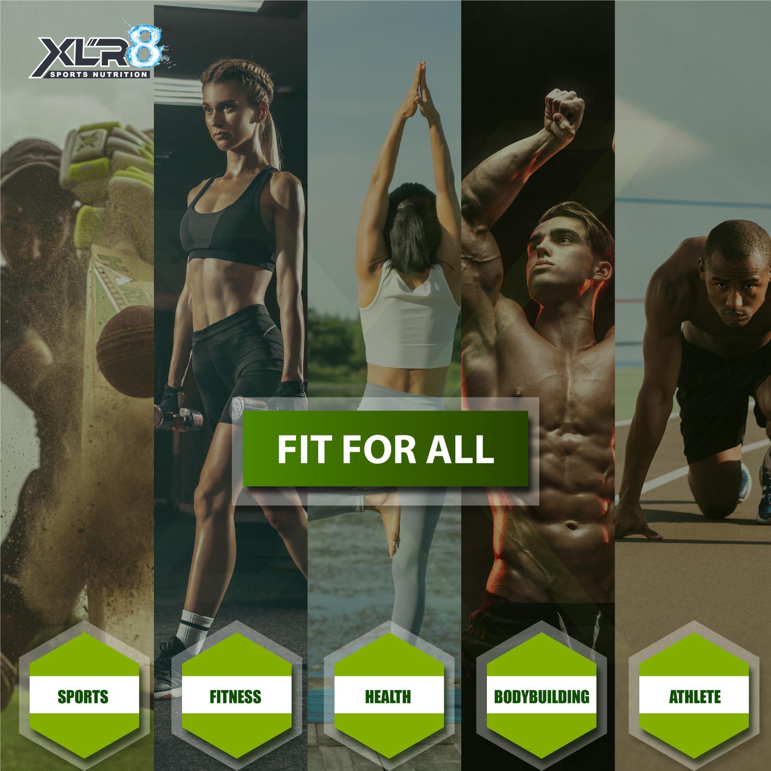 Image of XLR8 BCAA++ Powder Supplement - Vegan Instantised BCAA