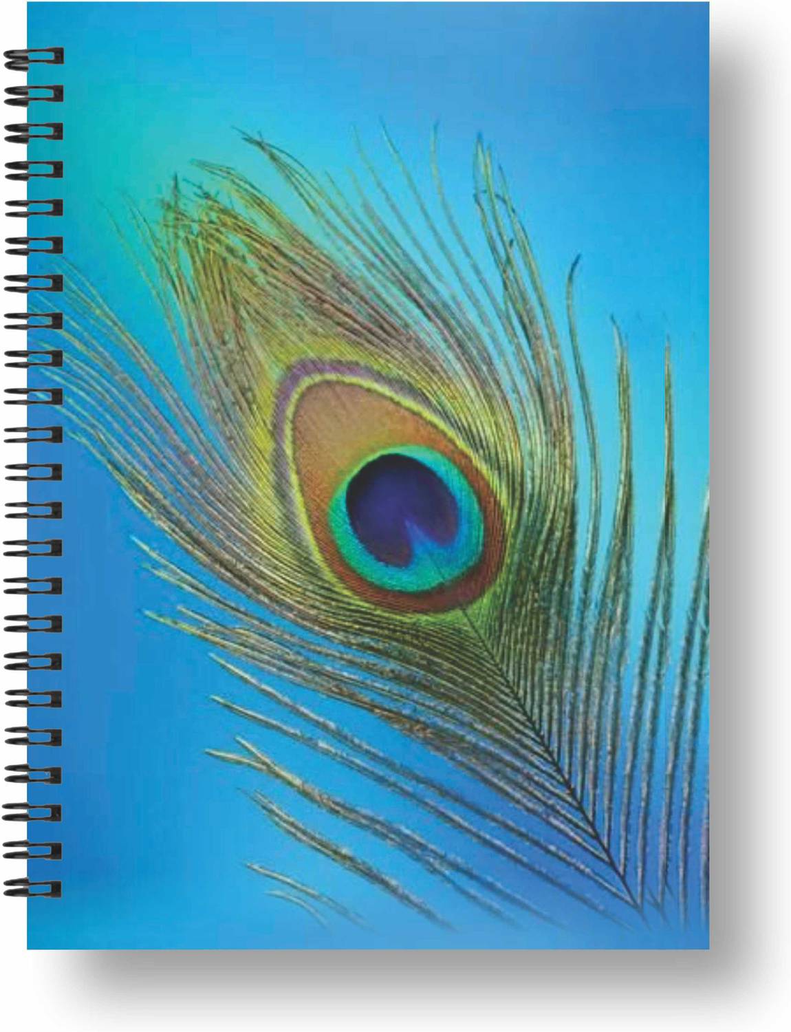 3DS Wiro notebook A5 Diary Ruled 144 Pages