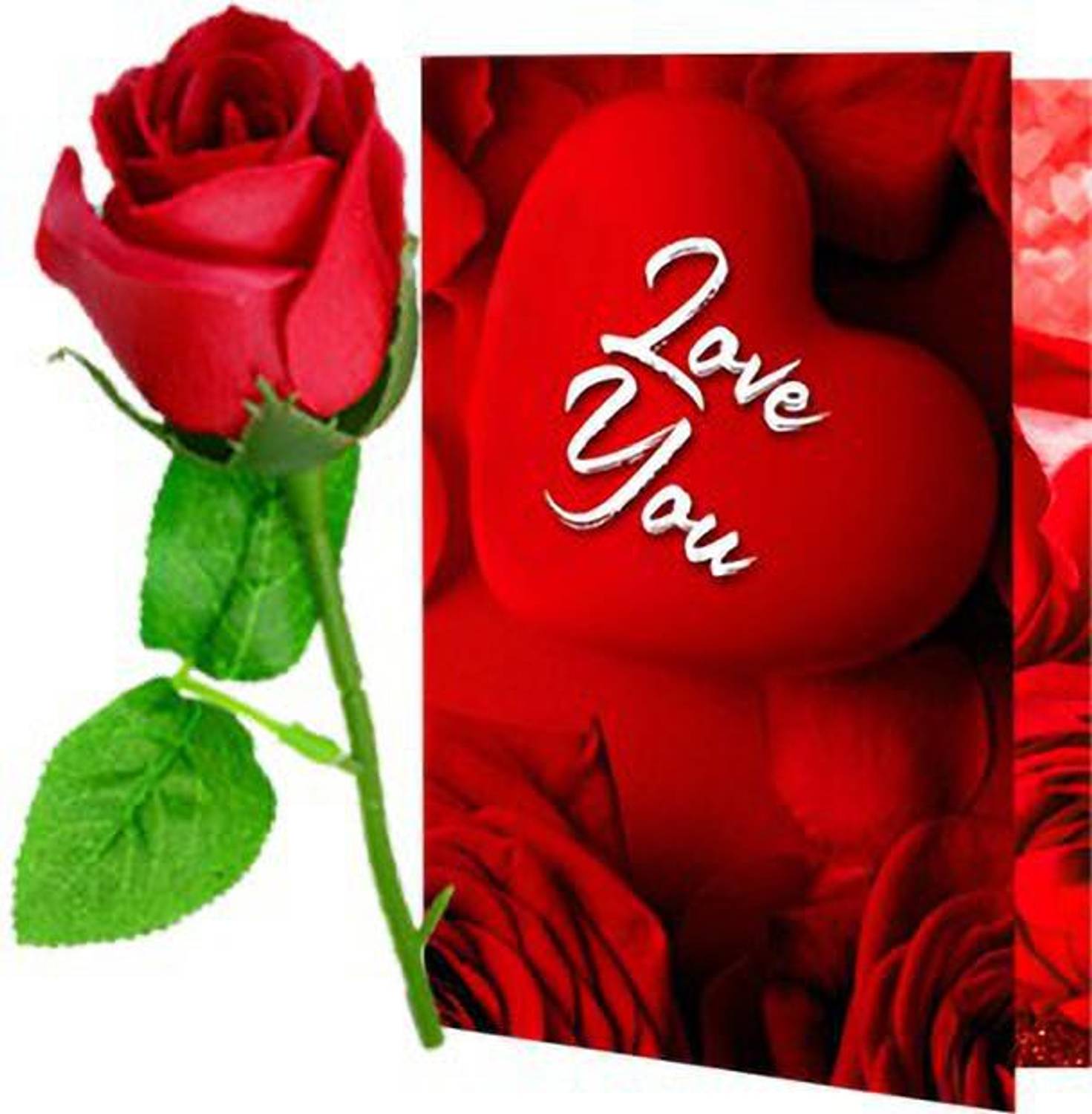 Avirons Artificial Flower, Greeting Card Gift Set