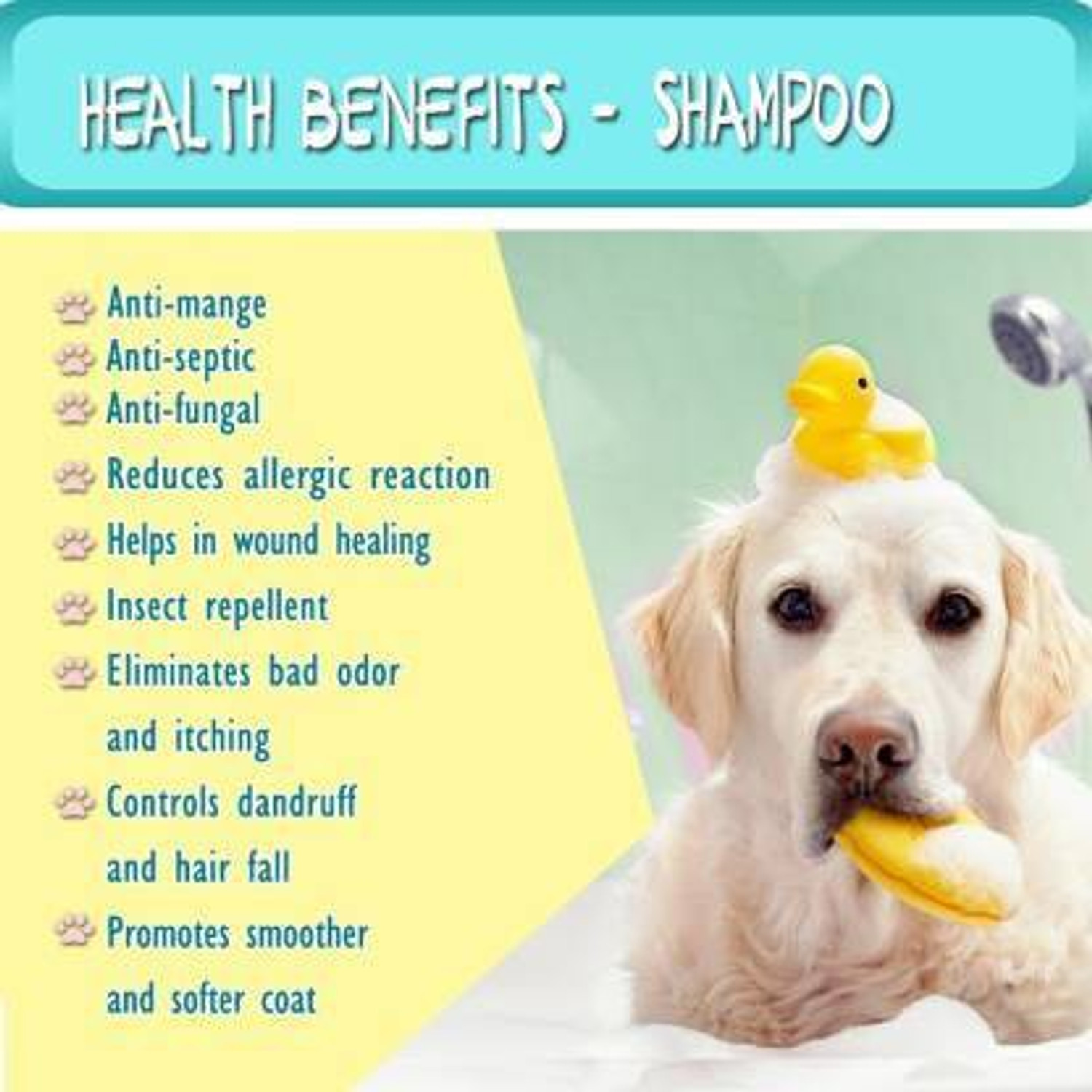 Image of Breedo (Combo of 3) Dog Deshedding Shampoo + Flea-Tick Shampoo + Deodorant Spray Allergy Relief, Conditioning, Anti-fungal, Anti-microbial, Anti-itching, Anti-dandruff Natural Dog Shampoo