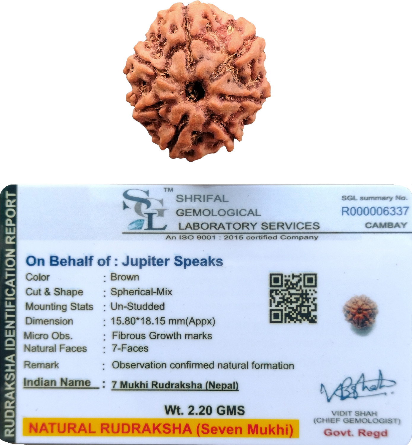 Image of jupiter speaks 7 Mukhi /Face Rudraksha Nepal With Lab Certificate, 100% Original Ruthratcham Bead Size 18mm-19mm With Red Silk Thread Brown Color Bead for Men & Women Wood Pendant