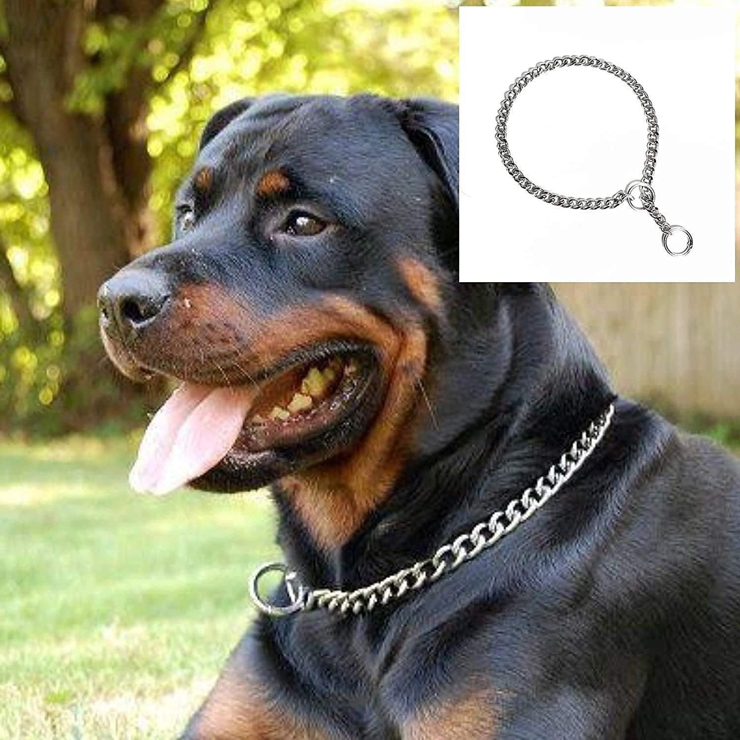 Image of Rvpaws Stainless Steel Chock Chain for Dog 10 No, 24 Inch Plain Dog Collar Charm