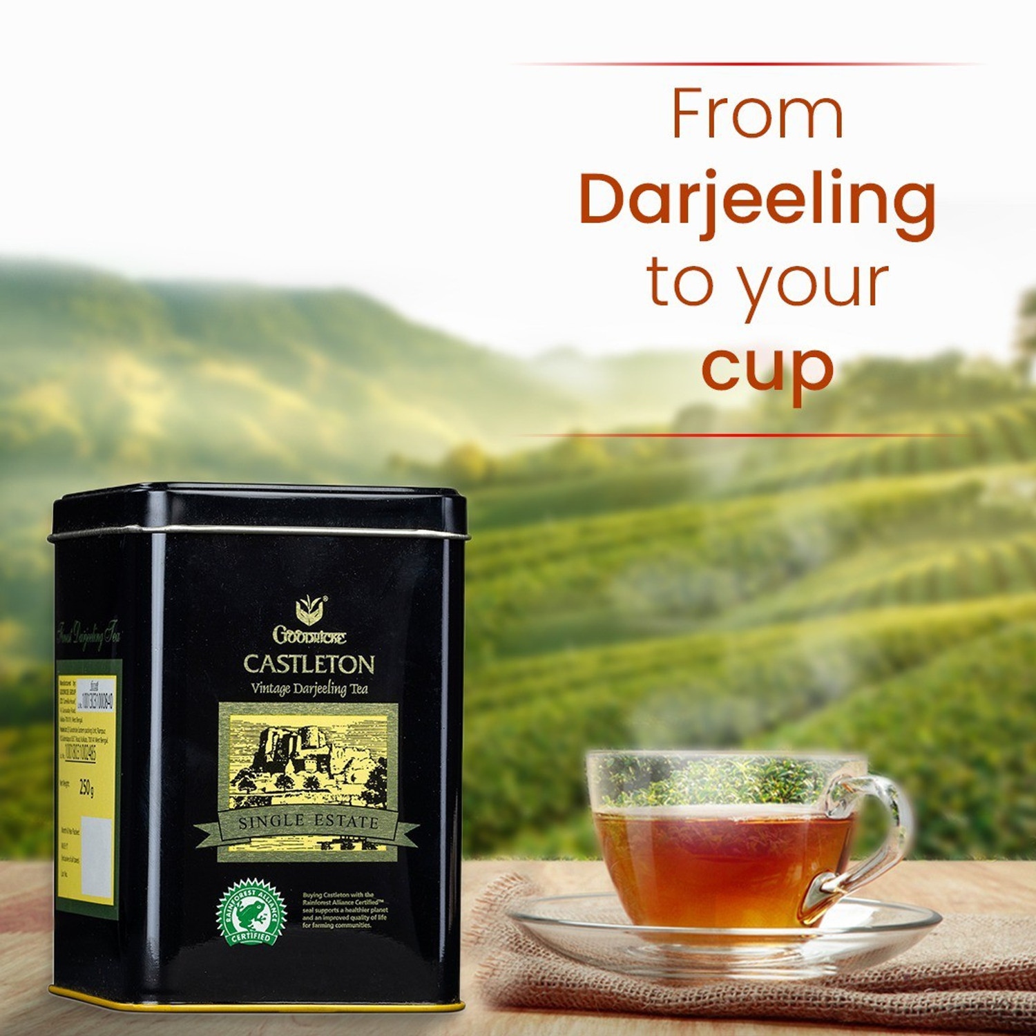 Image of Goodricke Castleton Vintage Darjeeling Tea Single Estate Unflavoured Black Tea Tin