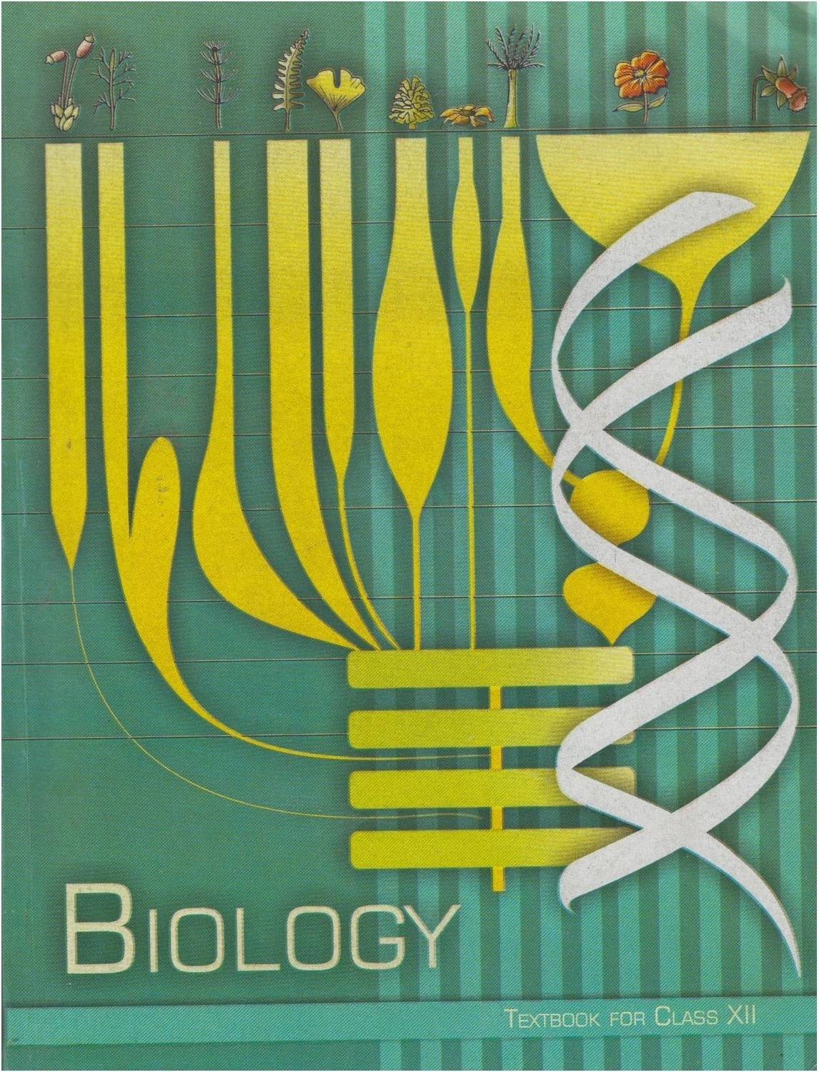 Biology - Textbook For Class 12