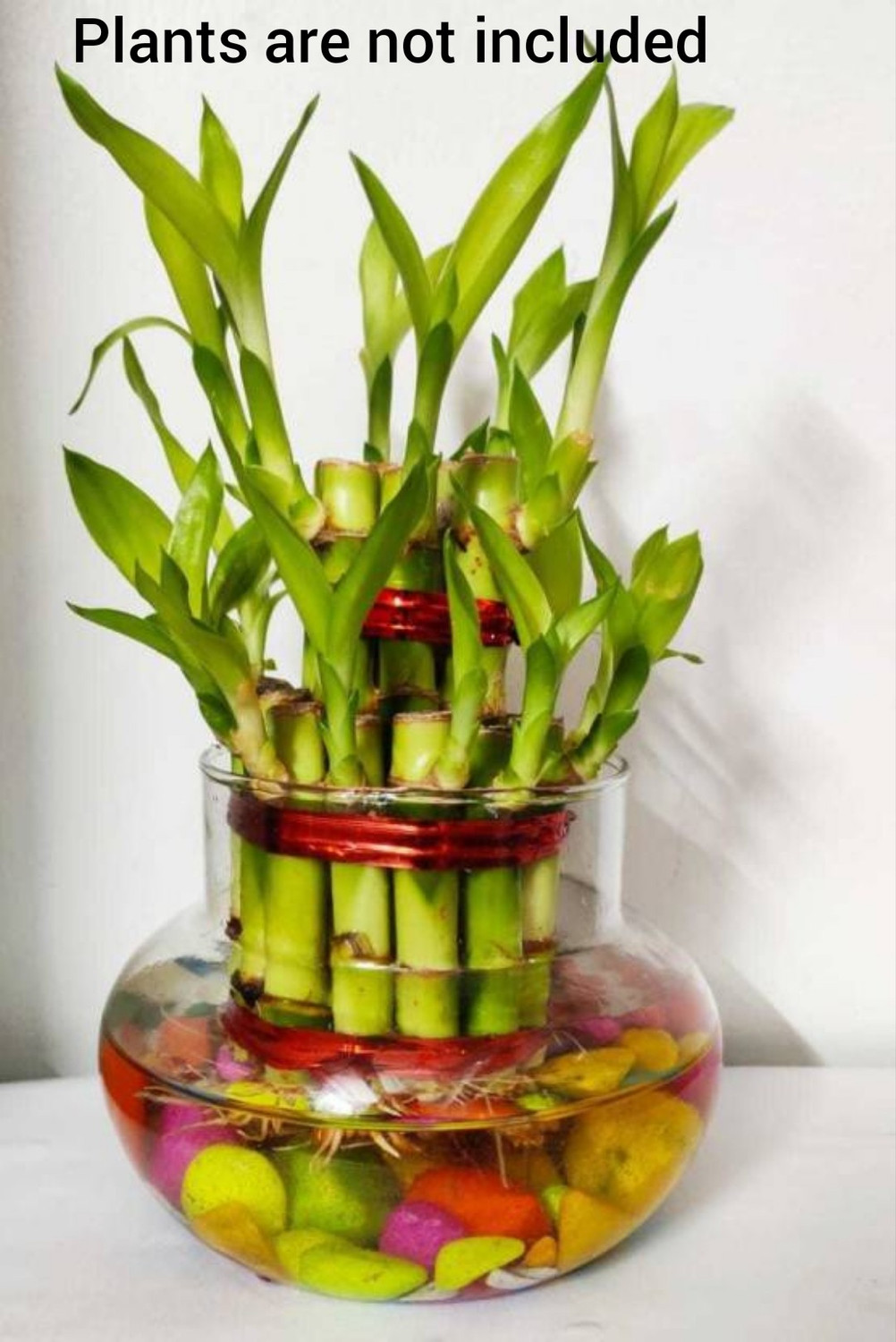 Image of Virya Beautiful Round Crystal Clear transparent Bubble Bowl, Fish Bowl, Rose Bowl - Glass Round Vase, Events, Decorating, Home or Office Decor Glass Bowl /Candy Jar, Lucky Bamboo Plant Bowl(without Flowers /plants) Glass Vase