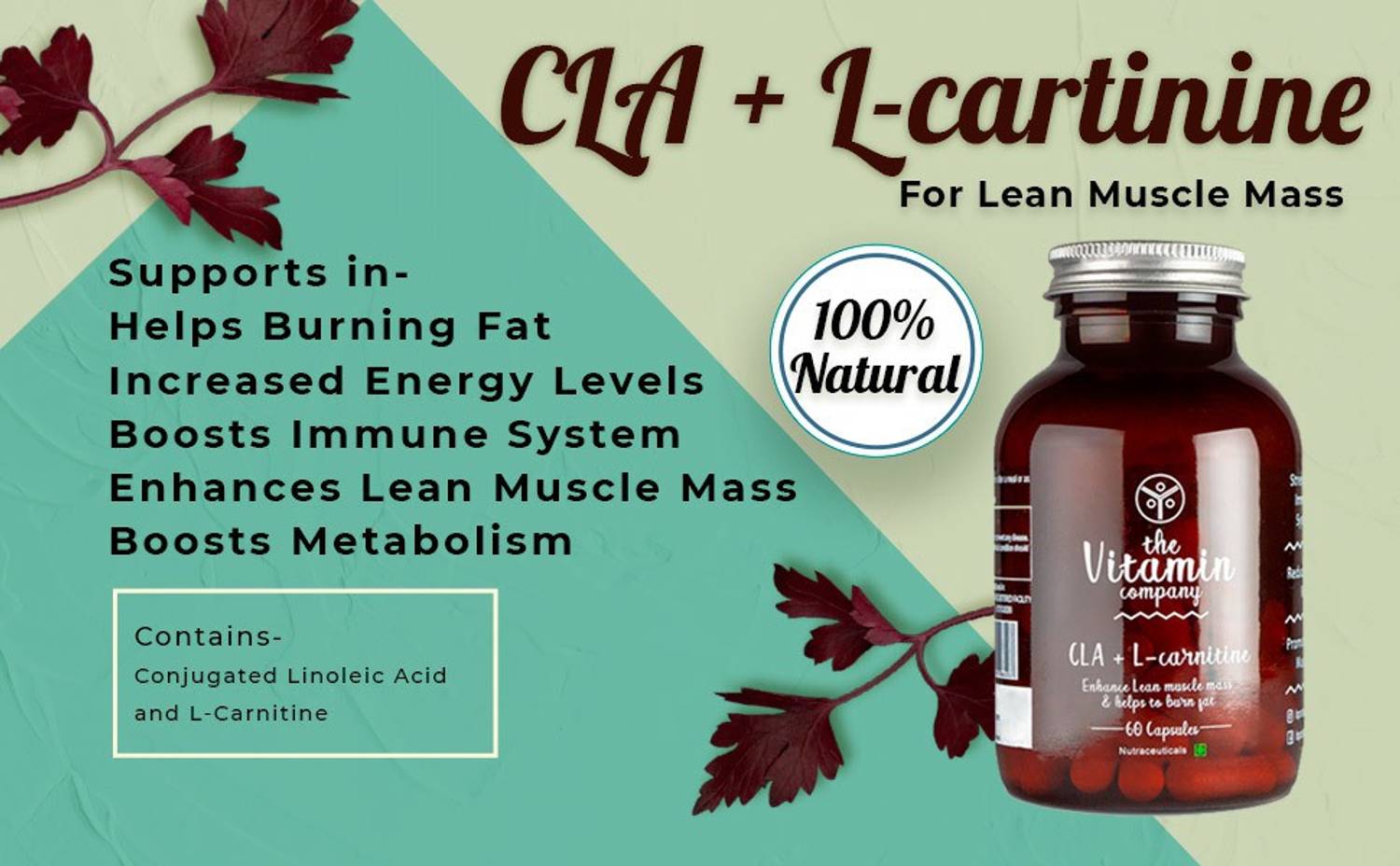 acetyl l carnitine vs l carnosine Amazon.com: BPI Sports CLA + Carnitine Shredded - Convert Fat Cells Into  Energy and Supports Lean Muscle, Boost Metabolism - Non-Stimulant L- Carnitine Supplement
