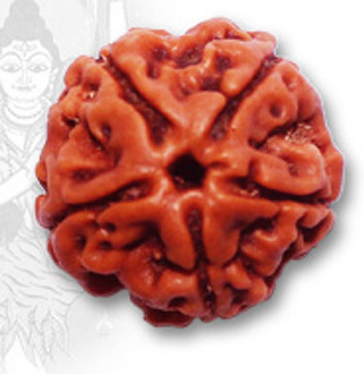 Image of kartik gems HARI ALANKAR 5 MUKHI RUDRAKSHA five face 100% original Wood Pendant