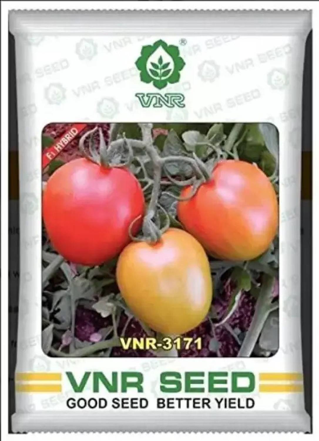 AGRODAK VNR 3171 Tomato Seed Seed