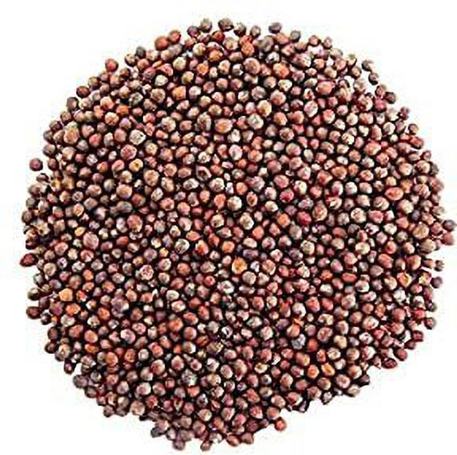 KANAYA Brocoli Seed Price in India - Buy KANAYA Brocoli Seed