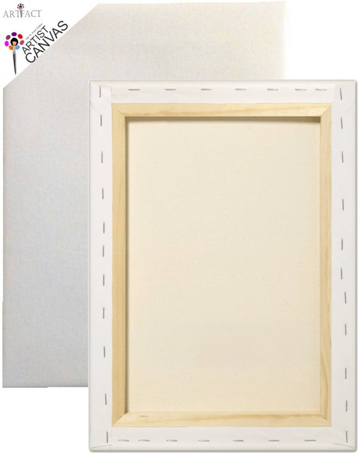 Artifact 18" X18" Cotton Medium Grain Pre Stretched Canvas (Set of 1)