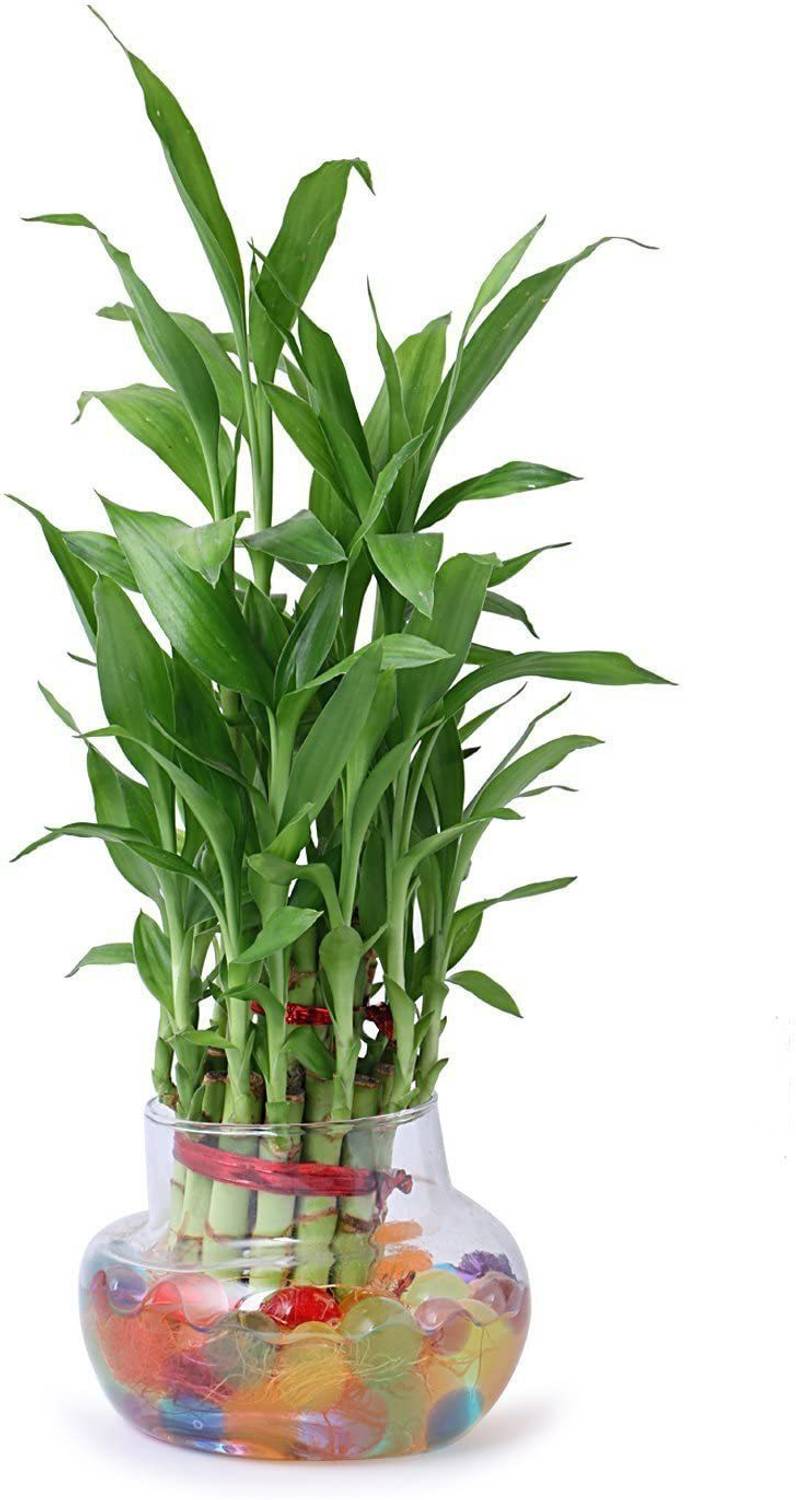 Green Plant indoor Bonsai Artificial Plant with Pot (10 cm, Gree