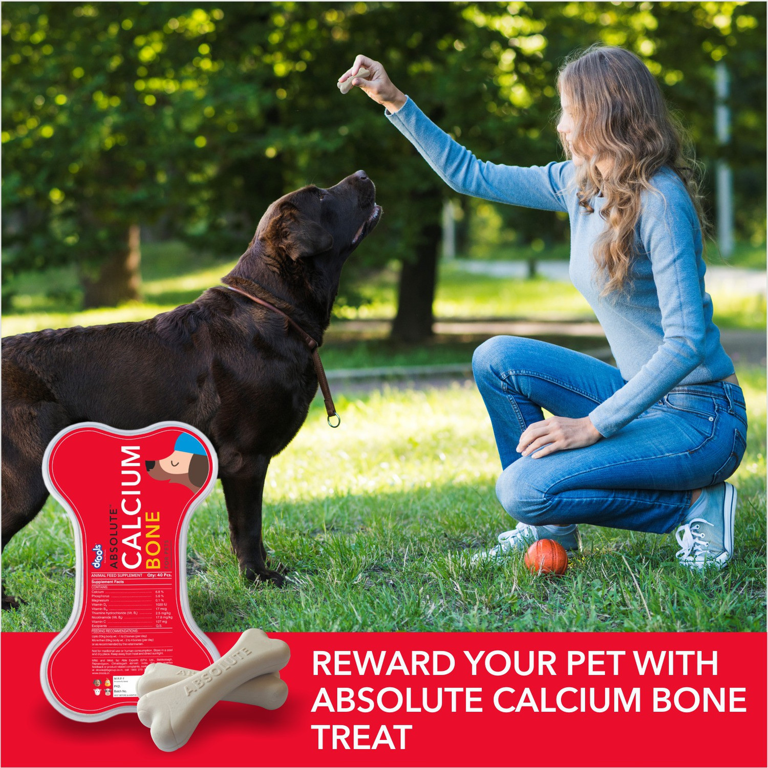 Image of Drools Absolute Calcium Bone 20 Pieces Dog Treats Pet Health Supplements