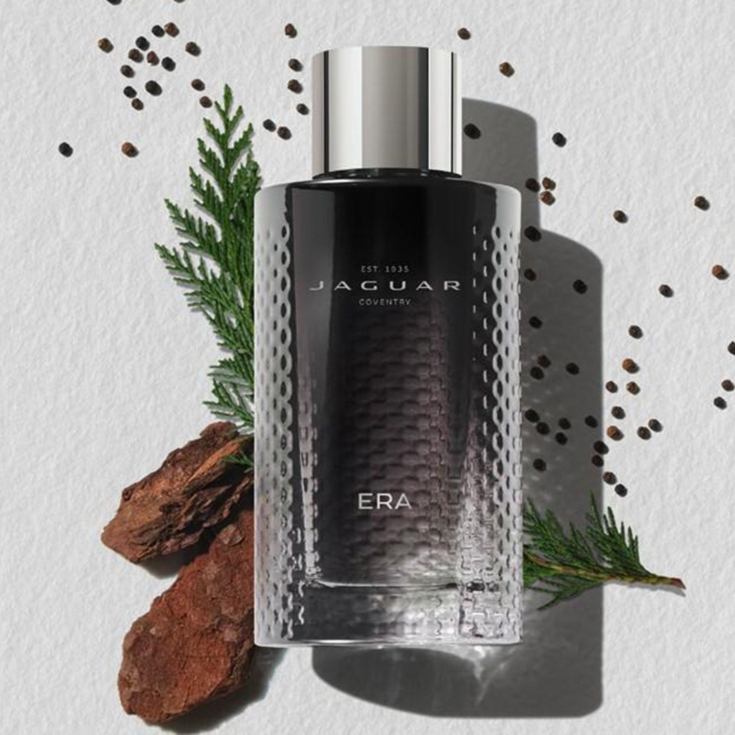 Image of JAGUAR ERA Eau de Toilette - 100 ml