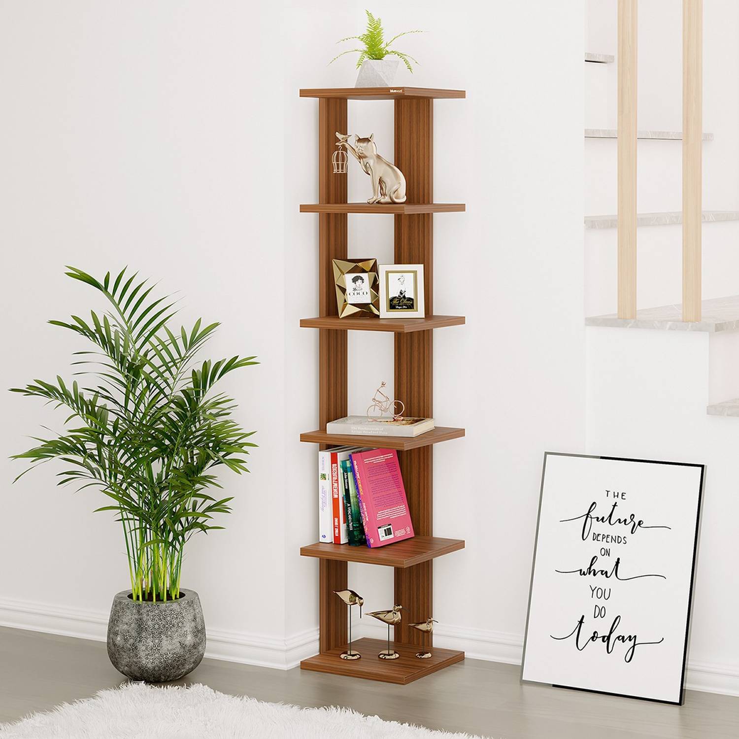 BLUEWUD Braine Engineered Wood Semi-Open Book Shelf