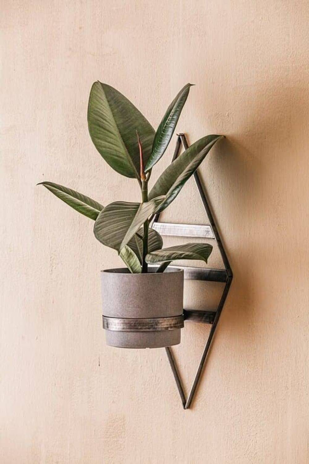Acrylic Design Art Plant Container Set