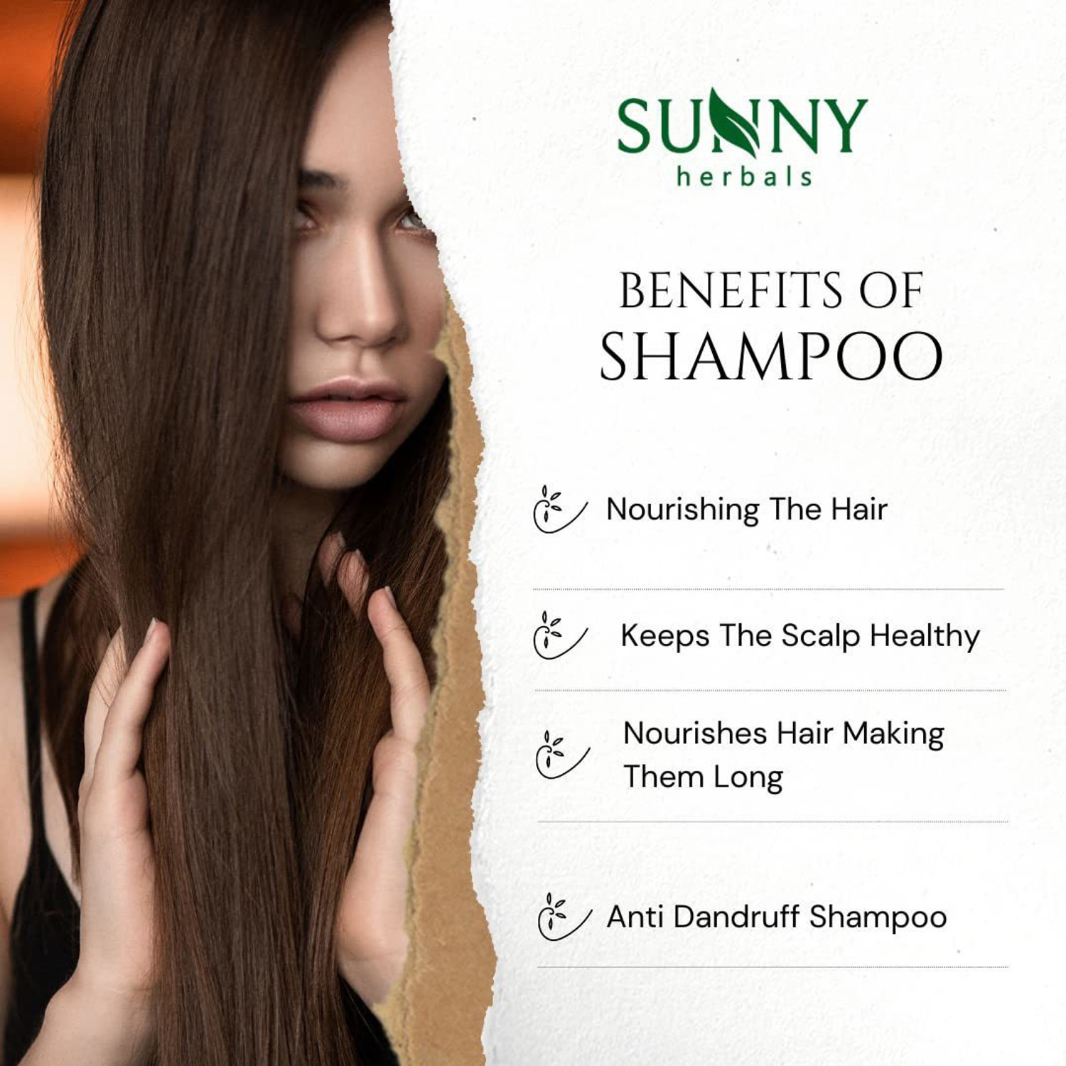 Image of Sunny Herbals Arnica Shampoo
