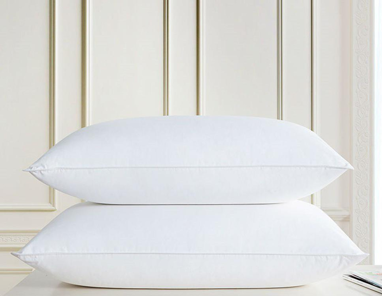 Image of Prima Facie Cotton Cushion Pack of 2 Solid