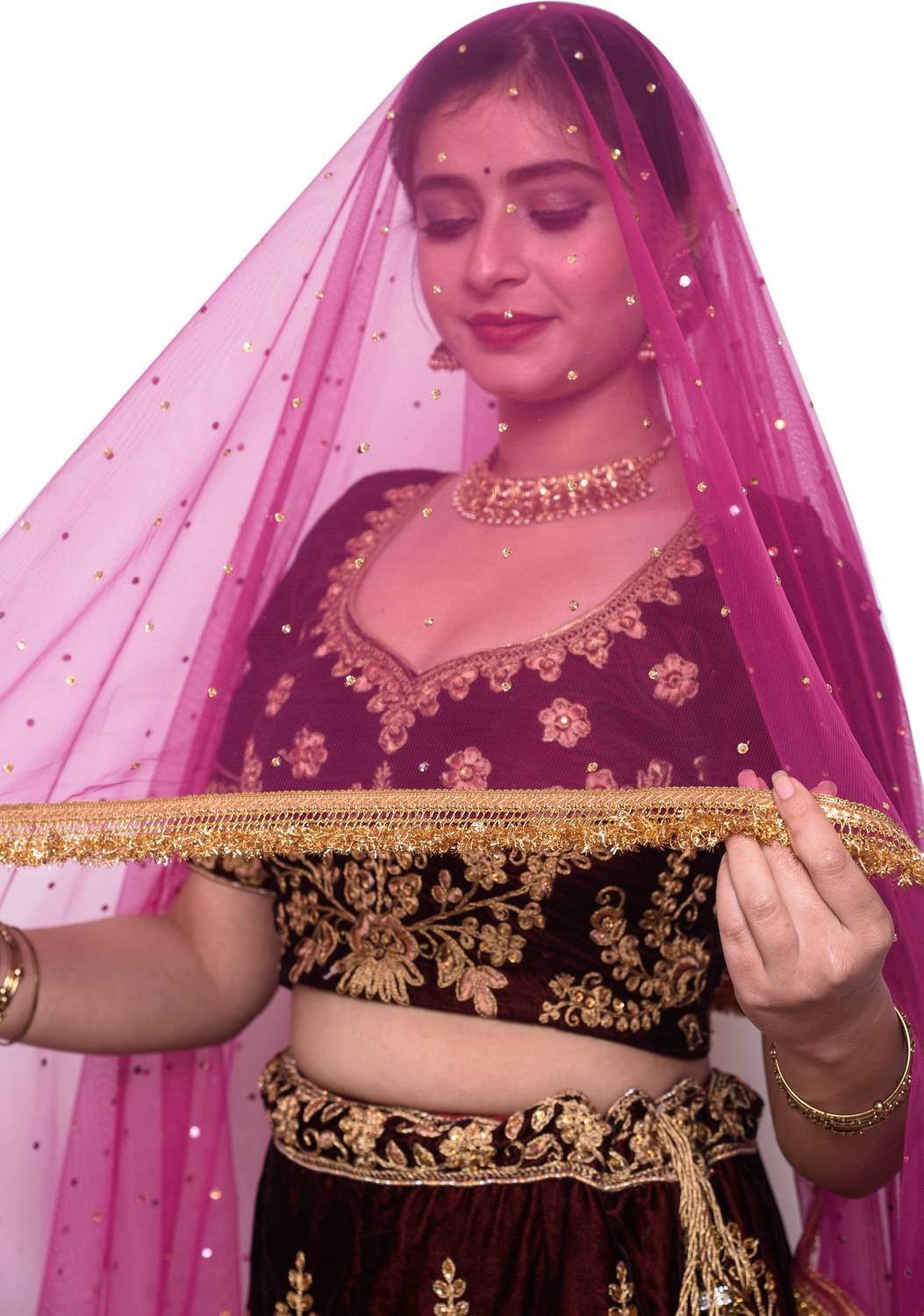 seriesshopping Net Solid Pink Women Dupatta